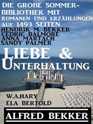 cover image of Liebe und Unterhaltung